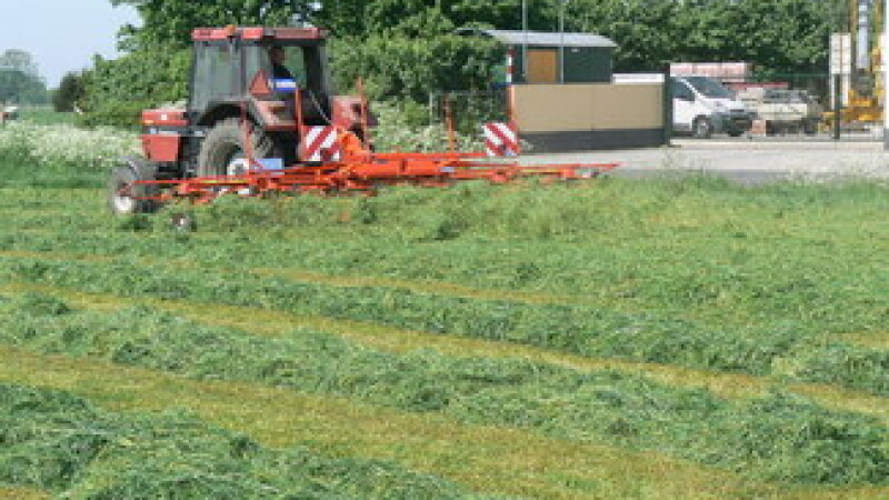 175950
